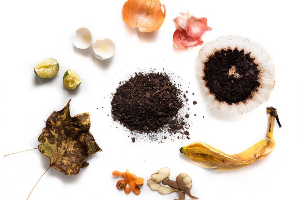 Kitchen scraps and other ingredients for making compost.